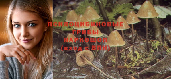 ALPHA PVP Баксан