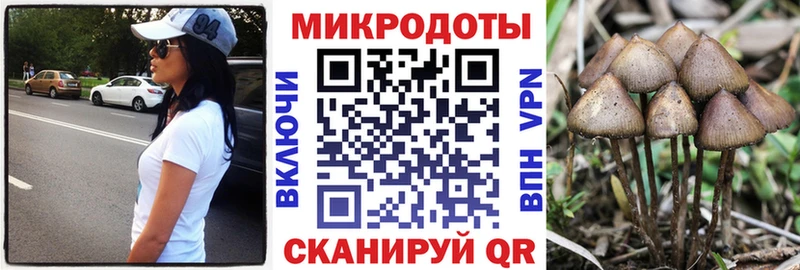 Галлюциногенные грибы Psilocybine cubensis  Новотроицк 